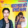 About Bada Pyar Kare Hamro Balam Song